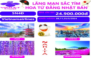 LÃNG MẠN SẮC TÍM HOA TỬ ĐẰNG - HOA CHI ANH NHẬT BẢN